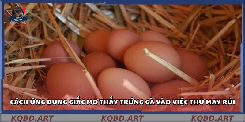 Cách ứng dụng giấc mơ thấy trứng gà vào việc thử may rủi