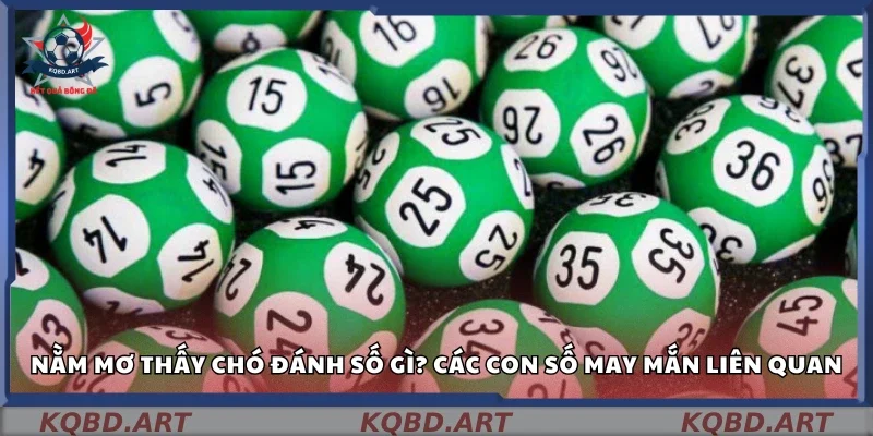 Những con số tài lộc gắn với giấc mơ về chó